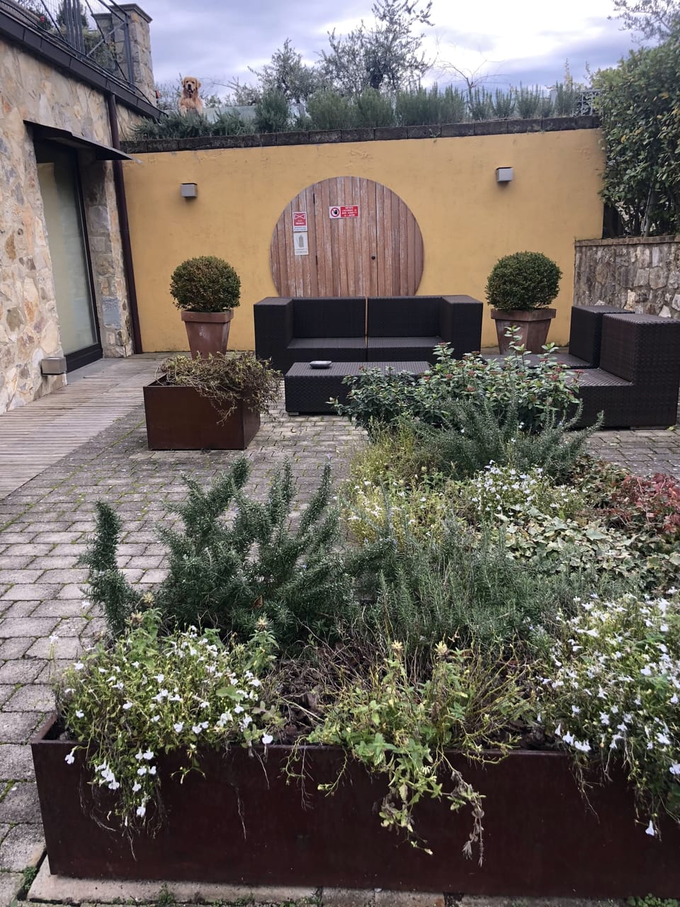 Terrace/patio
