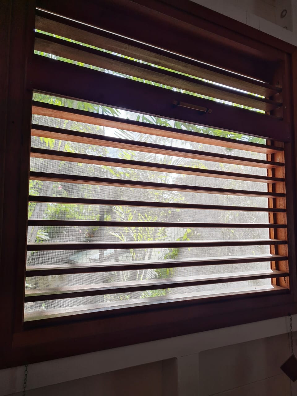 Moskito net on the window