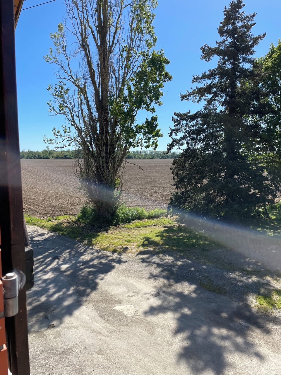 View from property