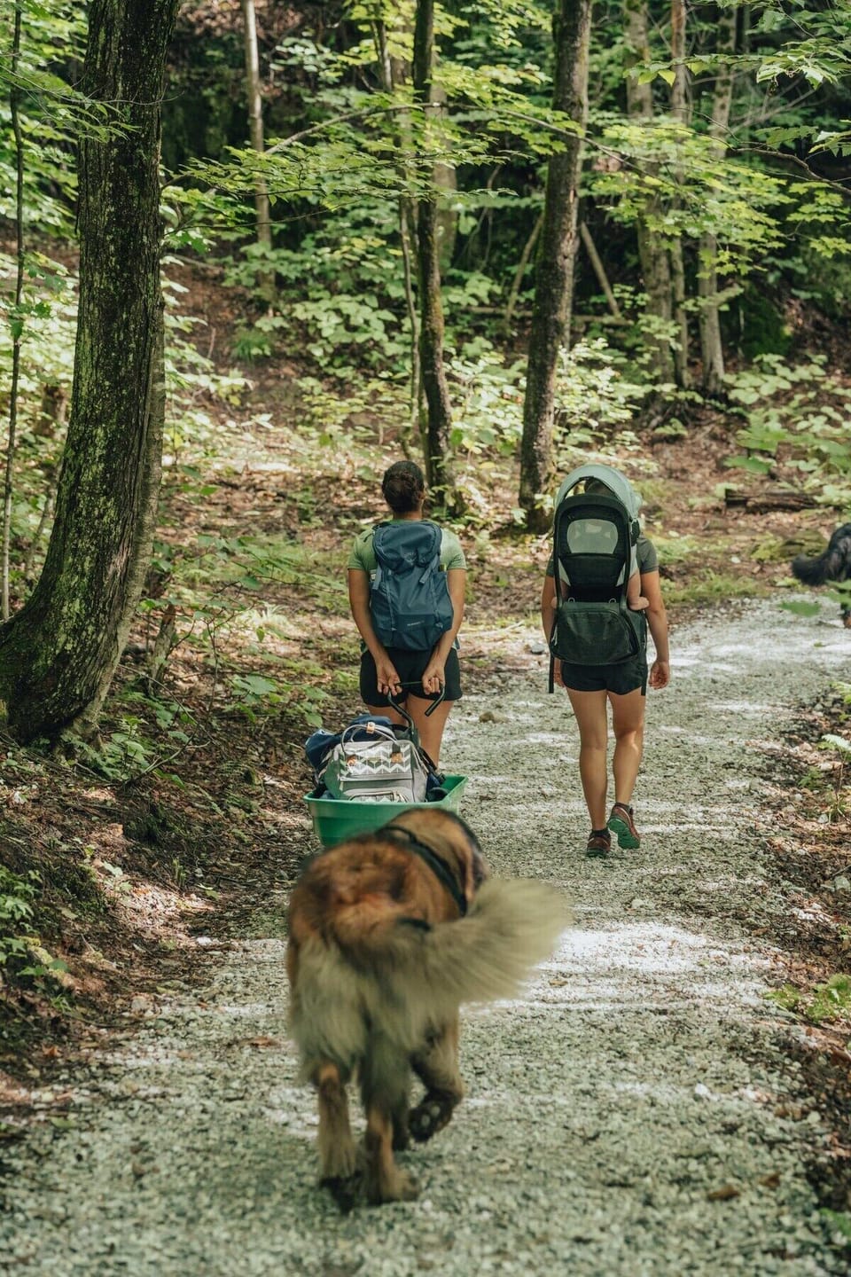 Sentier
