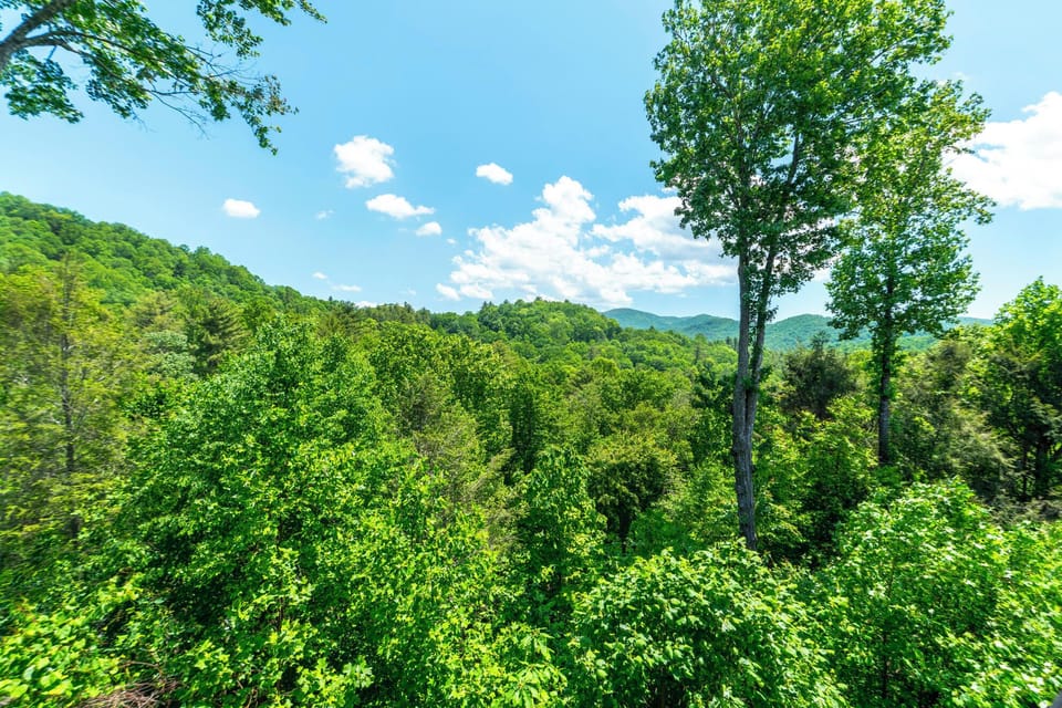 Summer Mountain View