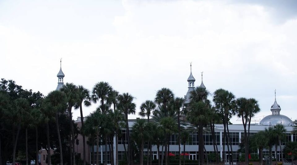 Spending time in Tampa's tree canopy is time well spent. It is enjoyable, wholesome, and good.
