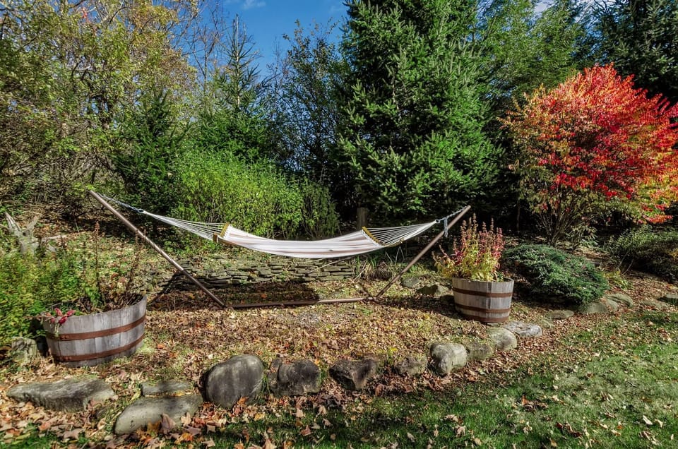 Quiet hammock mornings tucked beside the pond and gardens
