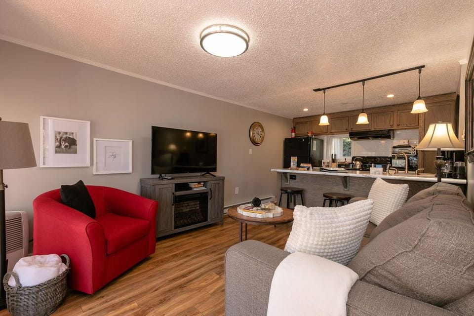 living room with fireplace and Roku TV