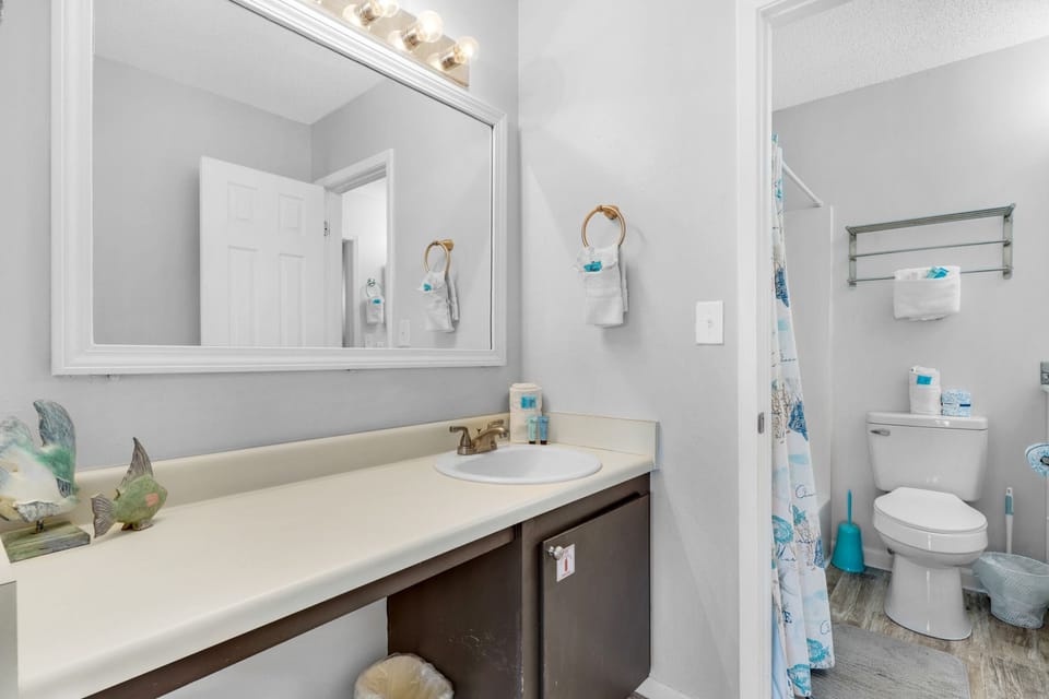 Master bathroom
