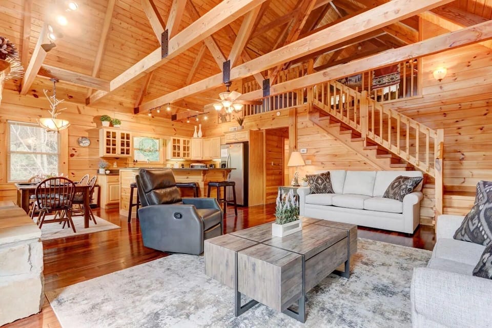 Main level living room with pull out sofa bed