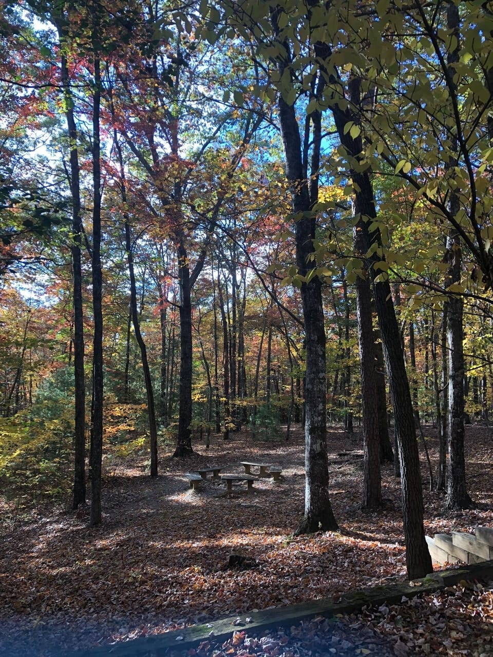 Beautiful scenes all around the property.
