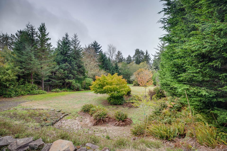 Backyard | Fruit Trees | 1 Acre