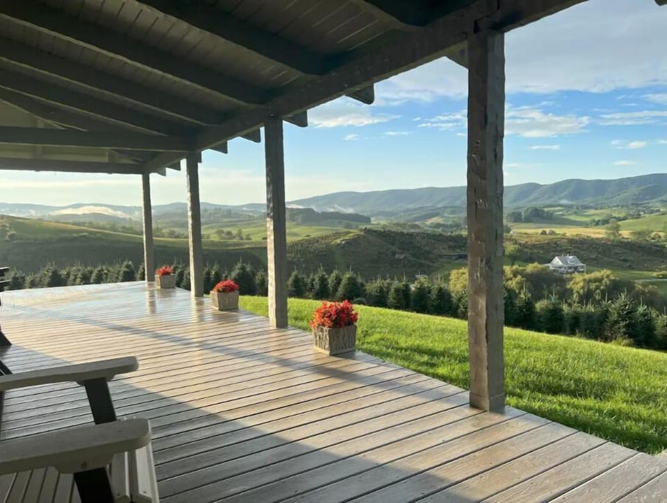 That view! 