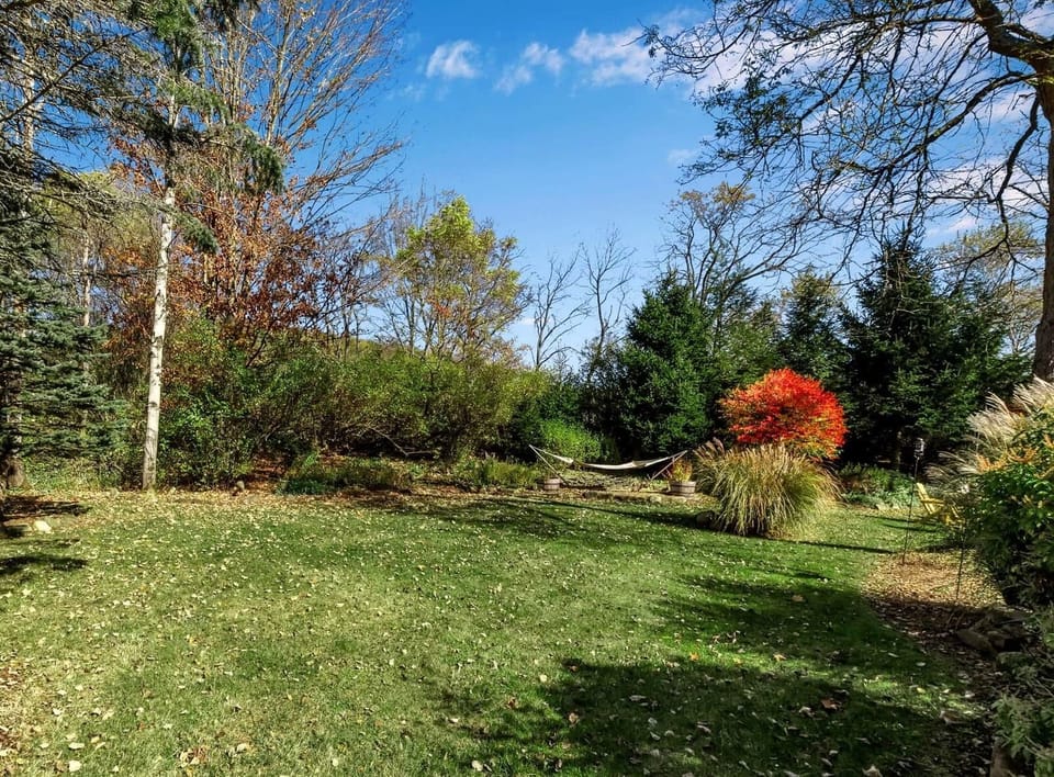 Spacious private backyard with room to relax, play, and enjoy the outdoors- yard games provided