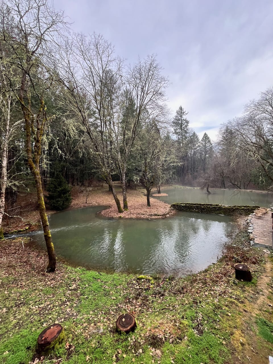 View of seasonal pond from deck