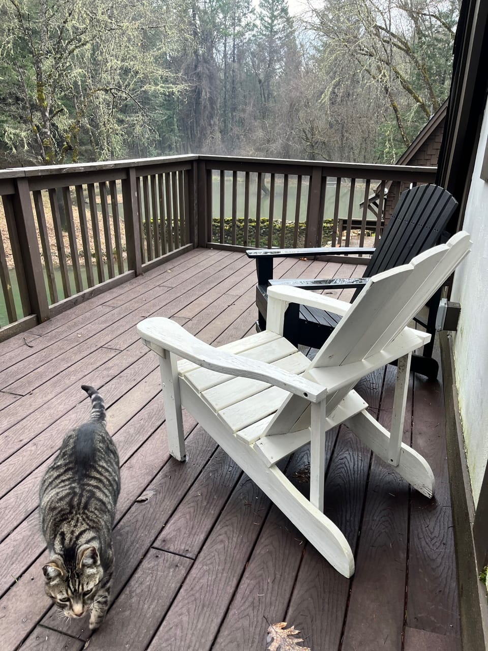 Deck