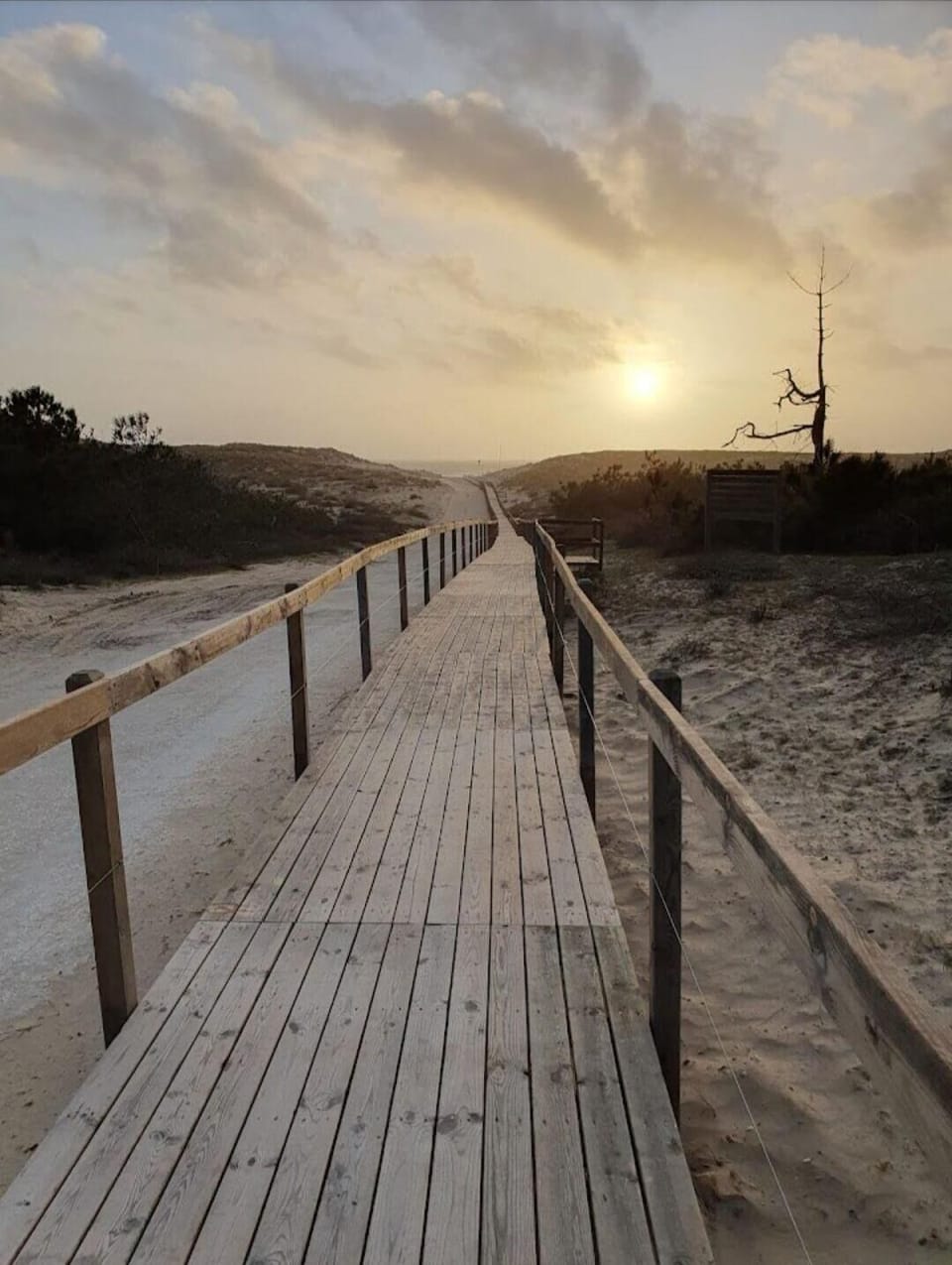 Beach access walkway