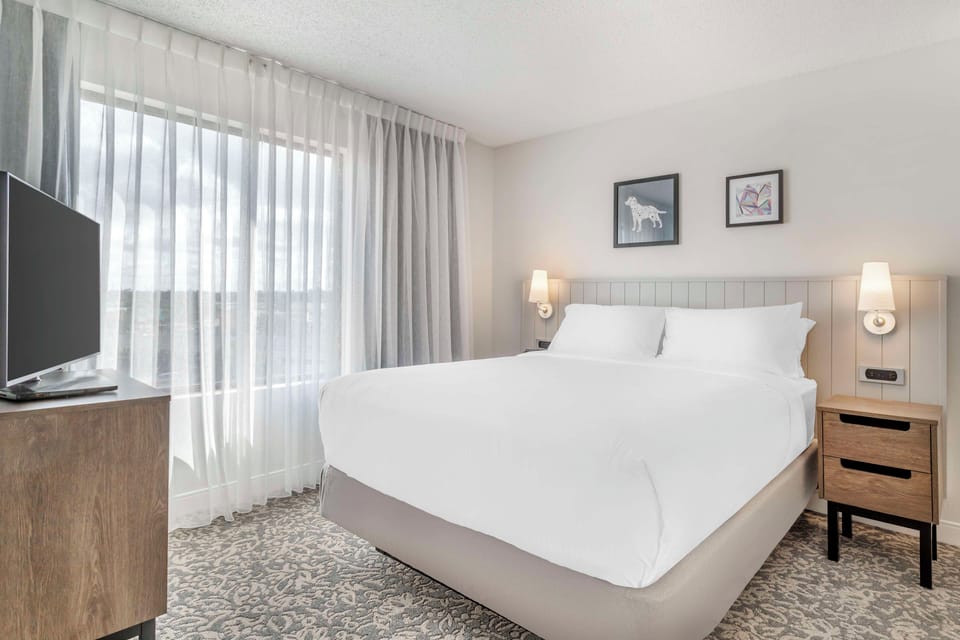 Unwind in a sunlit king bed with crisp hotel linens.