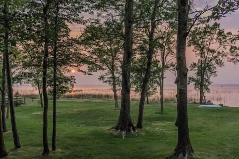 1e59de14 d828 4517 ba01 e27454f45a42