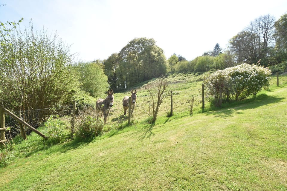 Immediate Surroundings [summer] (<1 km)